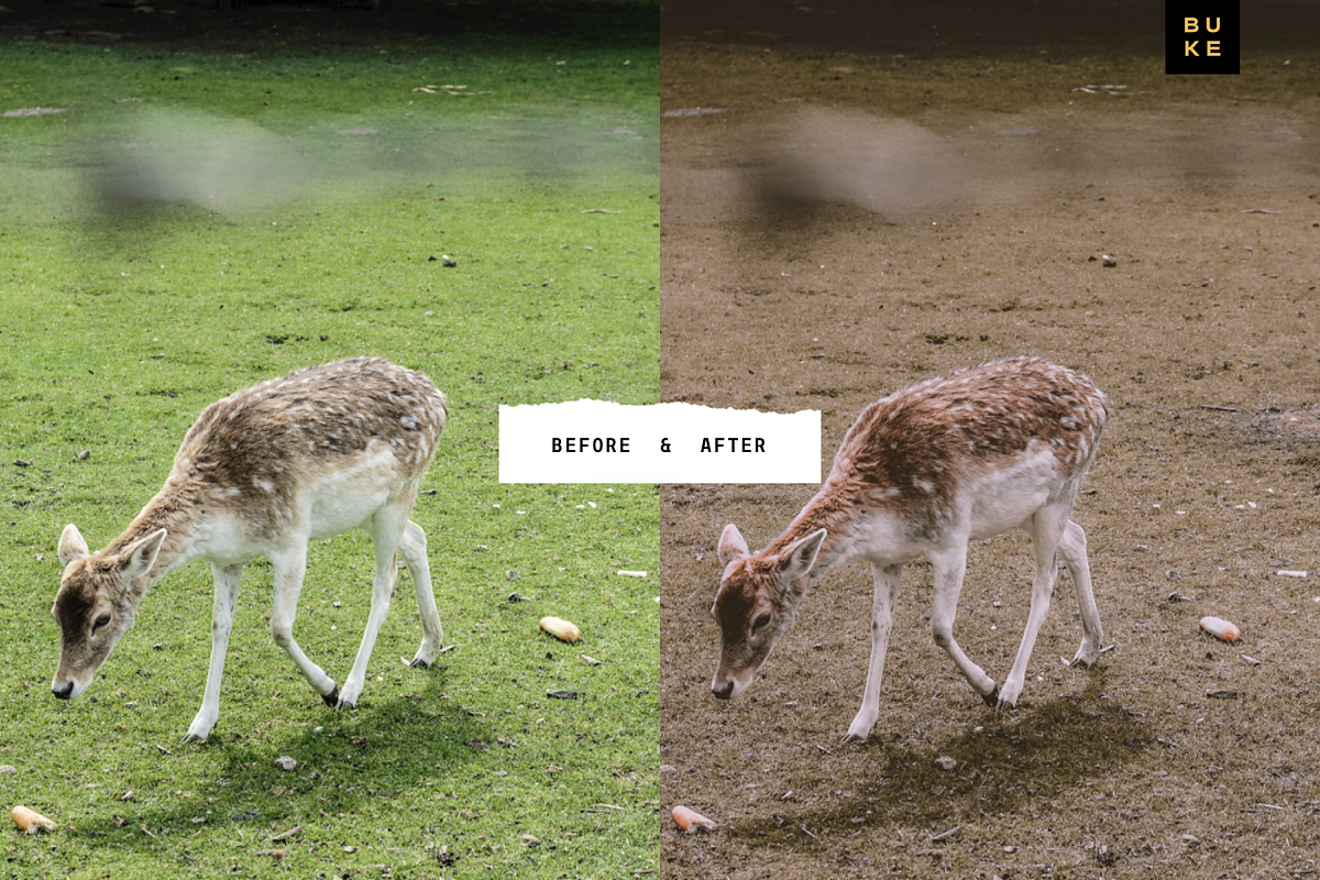 Claire Film Lightroom Preset, a Preset Add-On by SHOOM HOUSE (Photo 3 of 8)