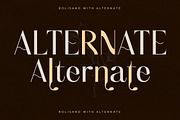 Rolisand New Modern Serif Font, a Serif Font by Storytype Studio (Thumbnail 5 of 15)