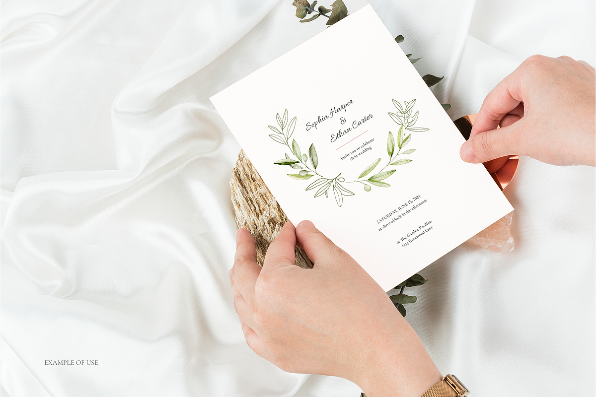 Olives – Watercolor & Line Art, a Decorative Illustration by Liliia Polos Illustration (Photo 2 of 12)