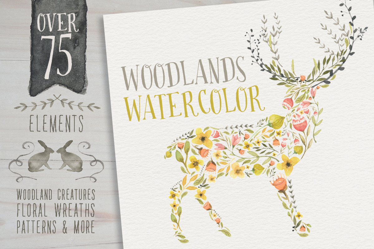 Woodlands Watercolor megapack, an Animal Illustration by Lisa Glanz (Photo 1 of 5)