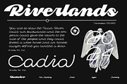 Dv Audley, a Script Font by Damelev (Thumbnail 12 of 15)