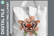 Boho Western Moth Clipart Bundle, an Animal Illustration by Enliven Designs (Thumbnail 2 of 8)