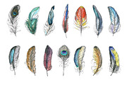 Watercolor hand drawn feathers, an Illustration by narinadraban (Thumbnail 2 of 3)