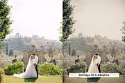 20 Wedding Lightroom Presets and LUT, a Preset Add-On by SparkleStock (Thumbnail 3 of 16)