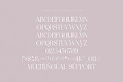 FLOWRISE || Display Ligature Serif, a Serif Font by ToniStudio (Thumbnail 12 of 13)