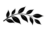 Botanical Leaf Silhouette Bundle, an Illustration by yasushie (Thumbnail 33 of 51)