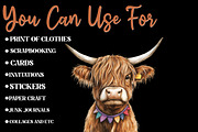 Birthday Highland Cow Clipart, an Illustration by Designworld (Thumbnail 6 of 8)