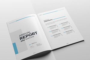 The Blue Annual Report