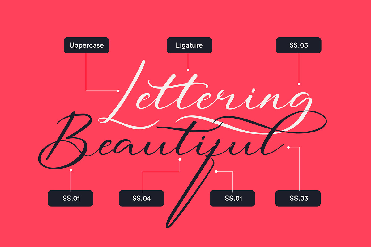 The Beauty Font Bundle | 6 in 1, a Script Font by StoricType (Photo 21 of 23)