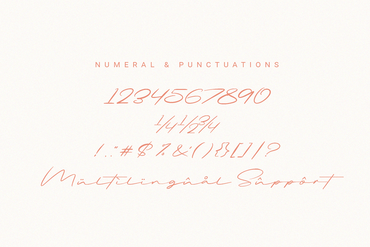 Briquete | Natural Brush Font, a Script Font by Ardana Creative (Photo 13 of 14)