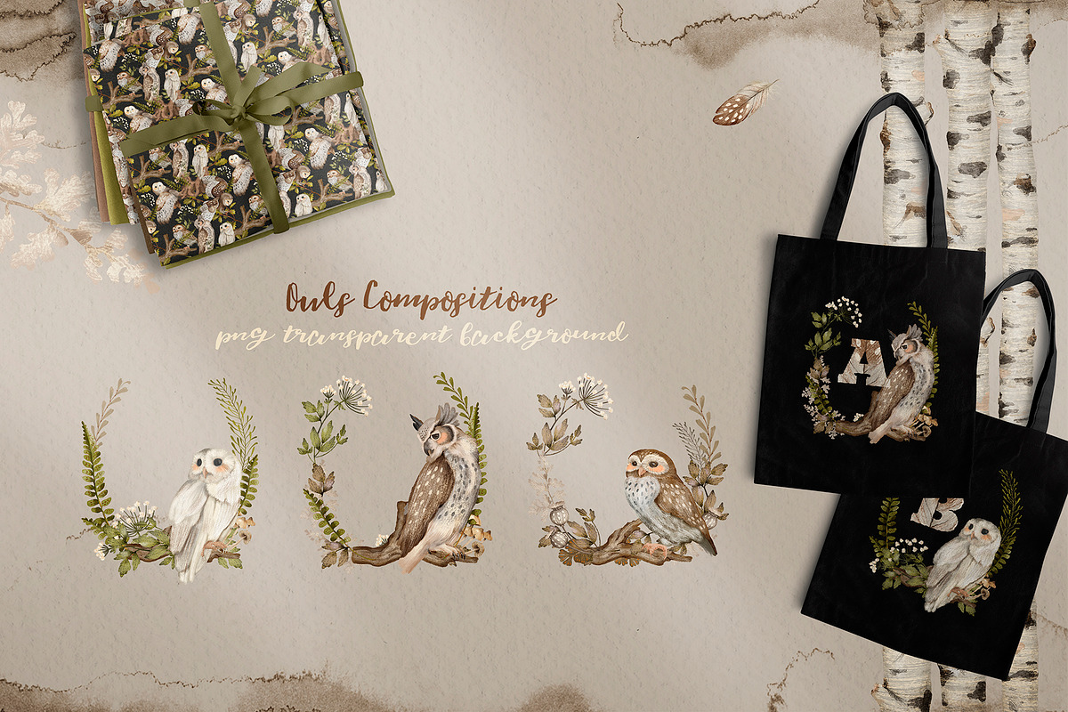 Owls Story watercolor forest clipart, an Animal Illustration by Alamella (Photo 7 of 12)