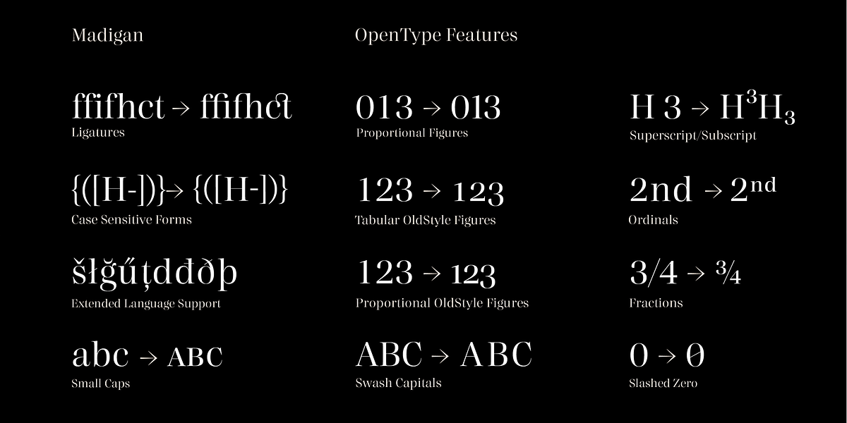 Madigan, a Serif Font by Hoftype (Photo 13 of 13)
