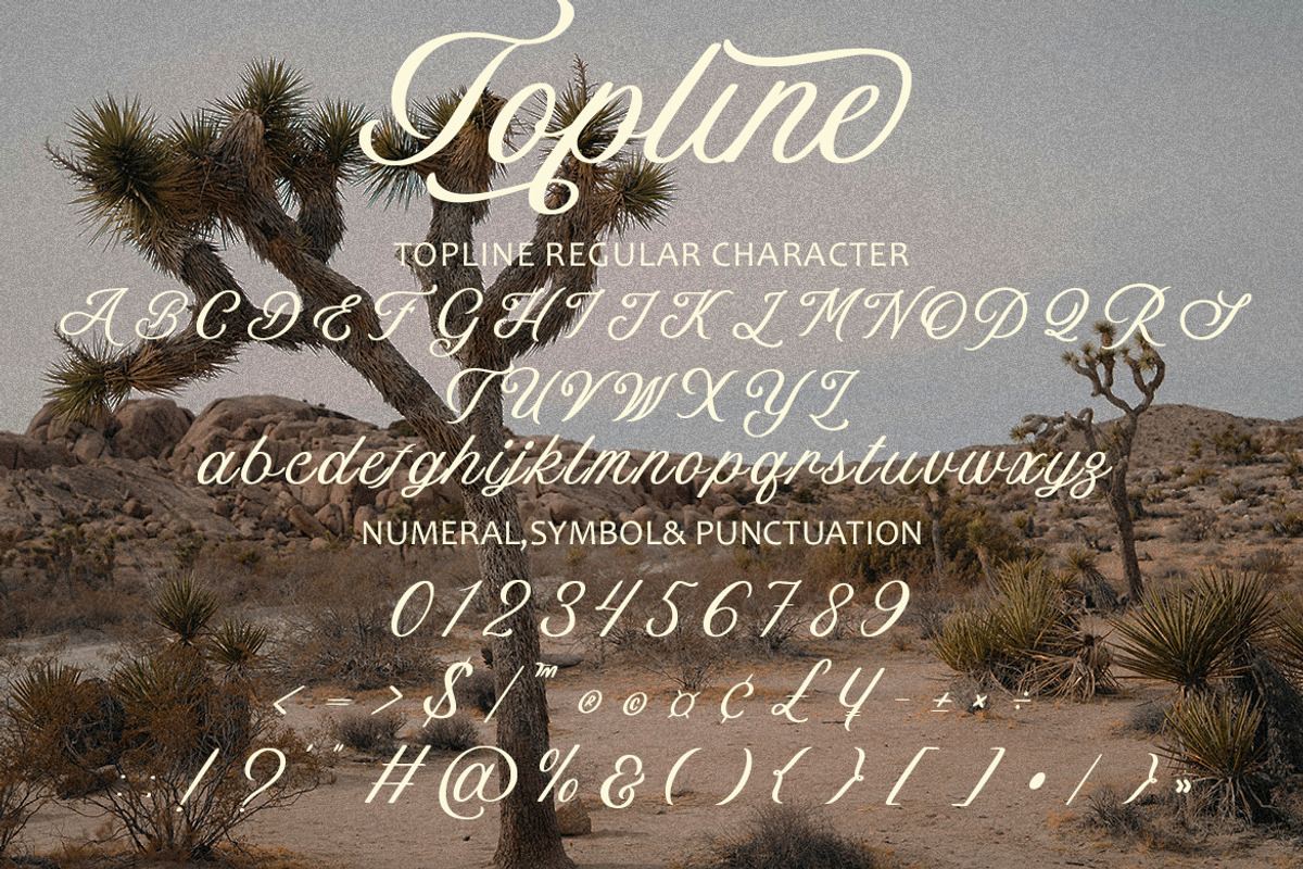Topline – Elegant Script Typeface, a Script Font by Arendxstudio (Photo 10 of 10)