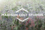 50 Rusty Metal Textures - Vol 1, a Texture Graphic by Madison Colt Studios (Thumbnail 48 of 51)