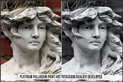 Platinum Palladium Prints LUTs, a Plug-in Add-On by Raztrend (Thumbnail 5 of 32)