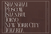 DIEGO Modern Serif Font Display, a Serif Font by Storytype Studio (Thumbnail 7 of 15)