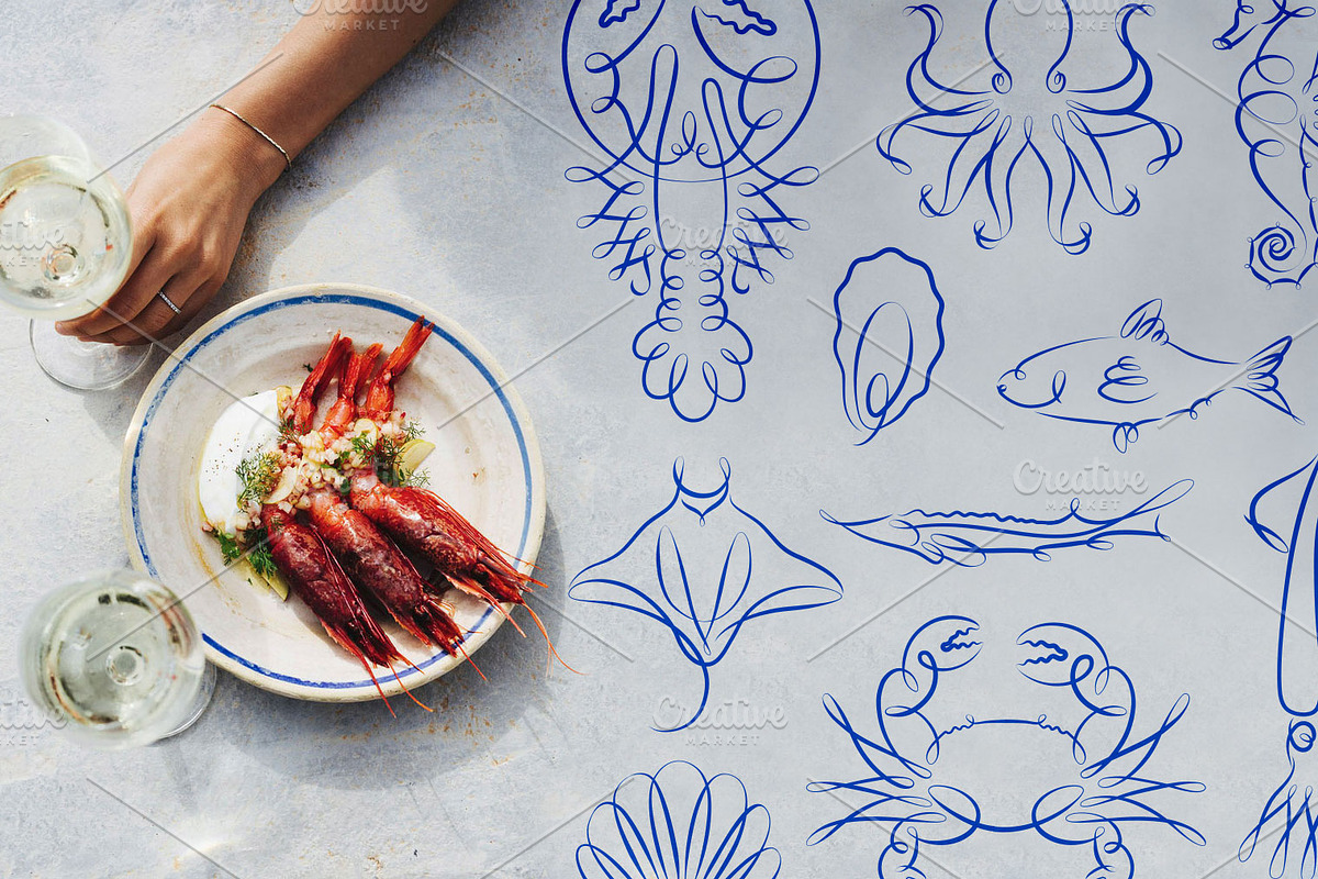 Marine Creatures, an Animal Illustration by Anna (Photo 5 of 6)