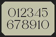 Mostgreen - Elegant & Stylish Serif, a Serif Font by RockboyStd (Thumbnail 10 of 12)