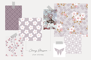 Cherry Blossom Vector Collection