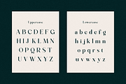 Rattagan - Display Serif Font, a Serif Font by RockboyStd (Thumbnail 8 of 12)