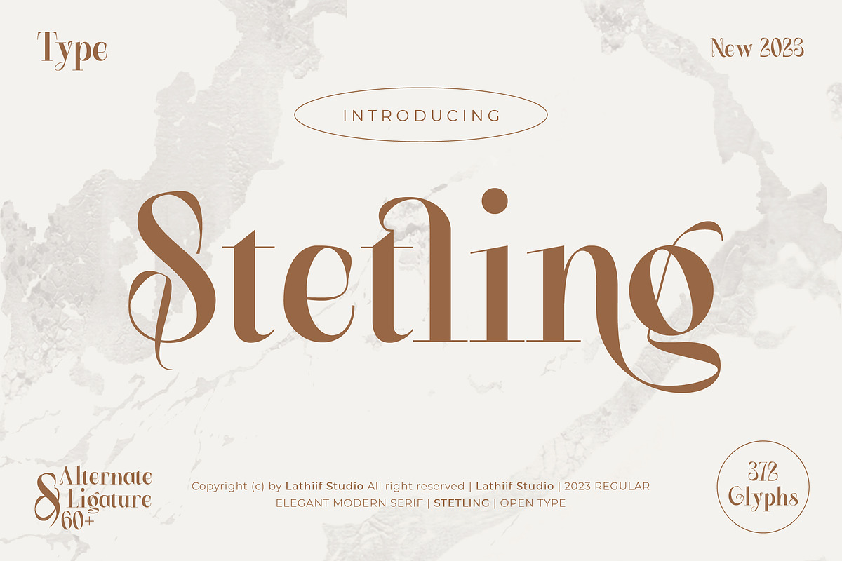 Stetling - Elegant Modern Serif Font, a Serif Font by Zeatype (Photo 1 of 11)