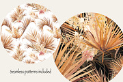 DESERT PLANTS, an Illustration by Eisfrei (Thumbnail 7 of 10)