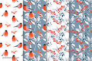 Winter Birds. Vector collection, a Decorative Illustration by Colibri Watercolor (Thumbnail 4 of 9)