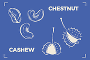 NUTS LINE ART SET (15+ elements), a Food Illustration by Bonfloret Studio (Thumbnail 2 of 10)
