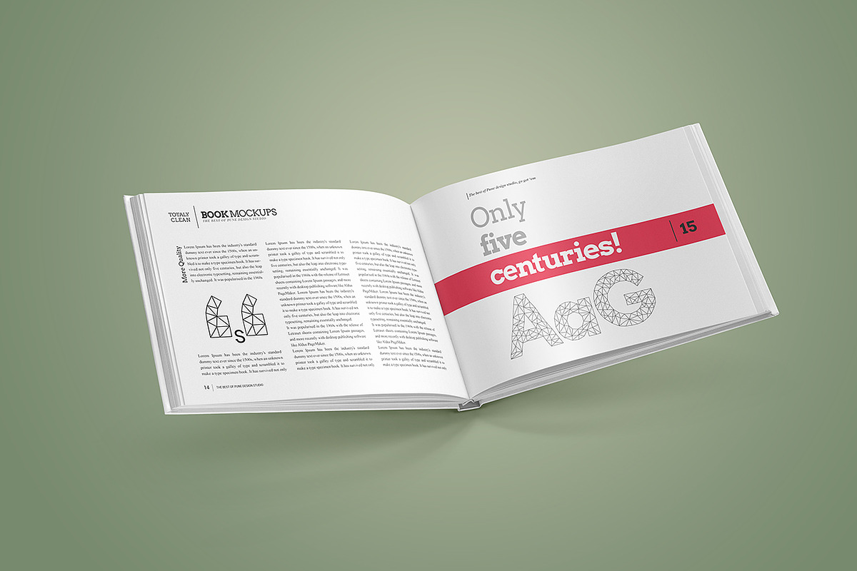 Landscape Book Mock-Up Set, a Books & Magazine Mockup by PuneDesign (Photo 3 of 11)