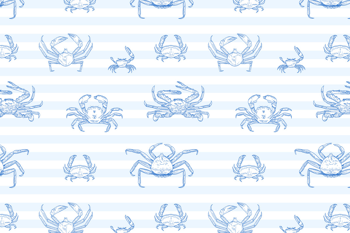 Crabs set + seamless patterns, an Animal Illustration by Good Studio (Photo 7 of 14)