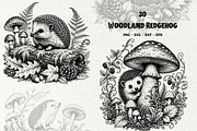 Forest Hedgehog Illustrations, an Animal Illustration by DENIDigitalArtSudio (Thumbnail 1 of 8)