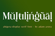 Abigeta 50% Discount, a Serif Font by Adam Azura (Thumbnail 6 of 14)