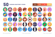 50 Human Anatomy Icons, an Icon by Dighital (Thumbnail 2 of 10)