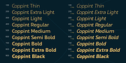 Coppint, a Sans Serif Font by Ridtype Foundry (Thumbnail 4 of 12)