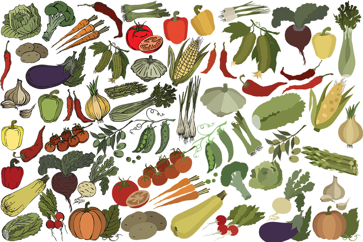 Vector vegetables, an Illustration by risovanya (Photo 4 of 4)
