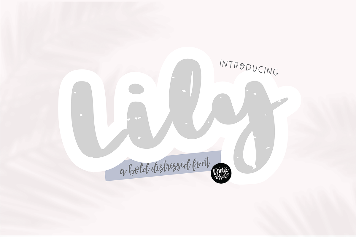 LILY a Bold Distressed Font