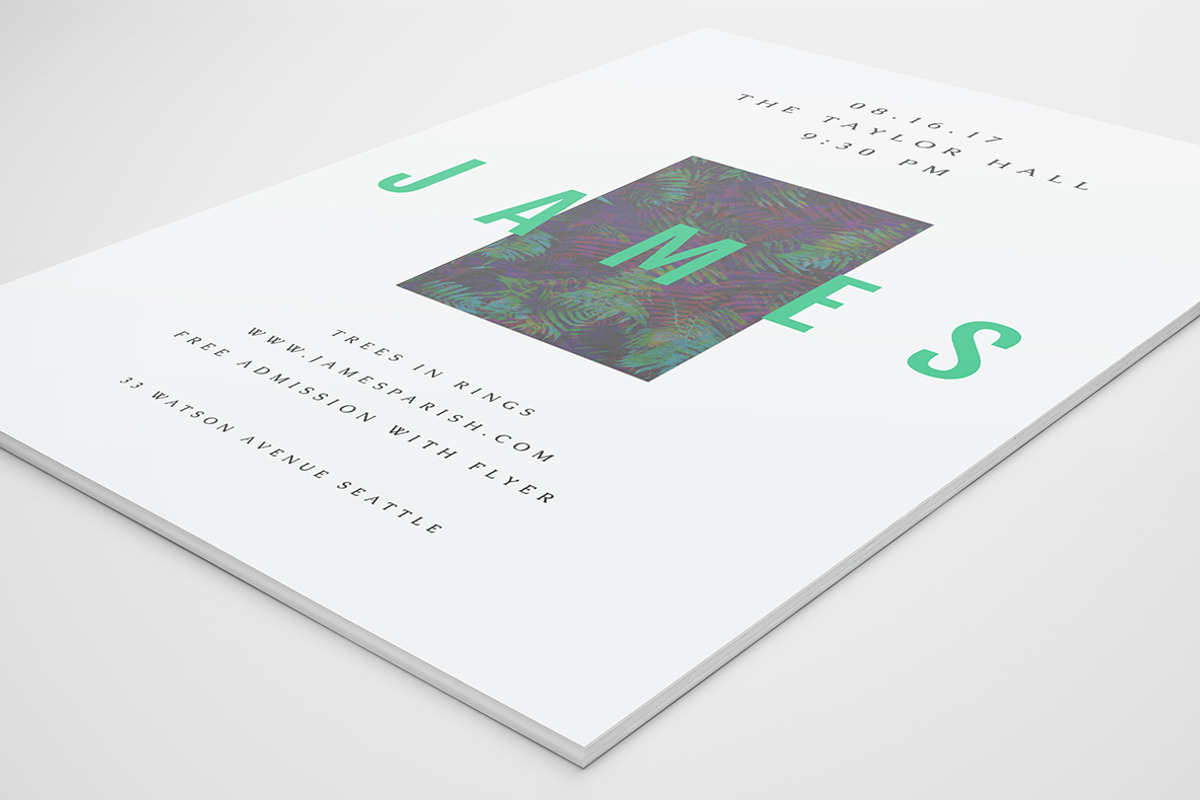 James Flyer, a Flyer Template by Viaduc (Photo 3 of 4)