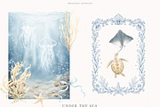Under The Sea Collection, an Animal Illustration by PeDe Designs (Thumbnail 3 of 7)