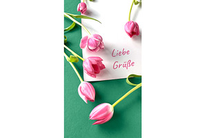 Pink tulips with a white card, a Photo by tilialucida