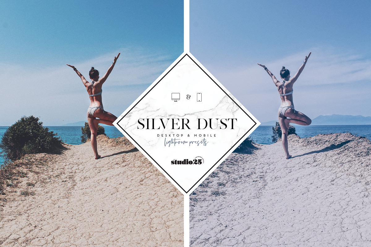 2 Silver lightroom presets, a Plug-in Add-On by studio25 (Photo 4 of 7)