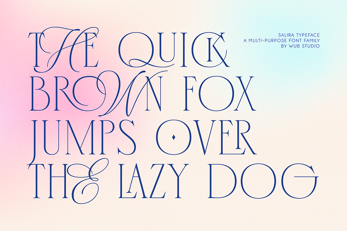 Salira Typeface, a Sans Serif Font by wubstudio (Photo 10 of 15)