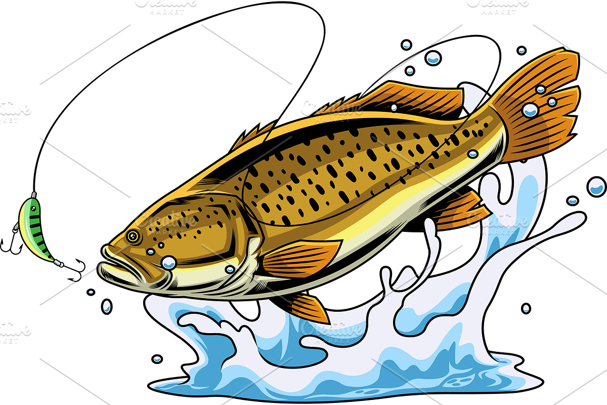 Golden Brown Bass Fish, an Illustration by HitToon