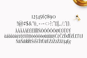 Veera Serif 4 Font Family Pack, a Serif Font by Creativetacos (Thumbnail 4 of 5)