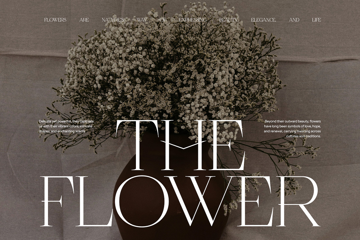 Serifa Elegant Serif Font, a Serif Font by Perfectype (Photo 3 of 8)