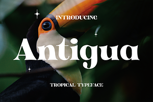 Antigua - Tropical Display