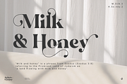 Zephyre Conquer, a Serif Font by Aluyeah Studio (Thumbnail 8 of 15)