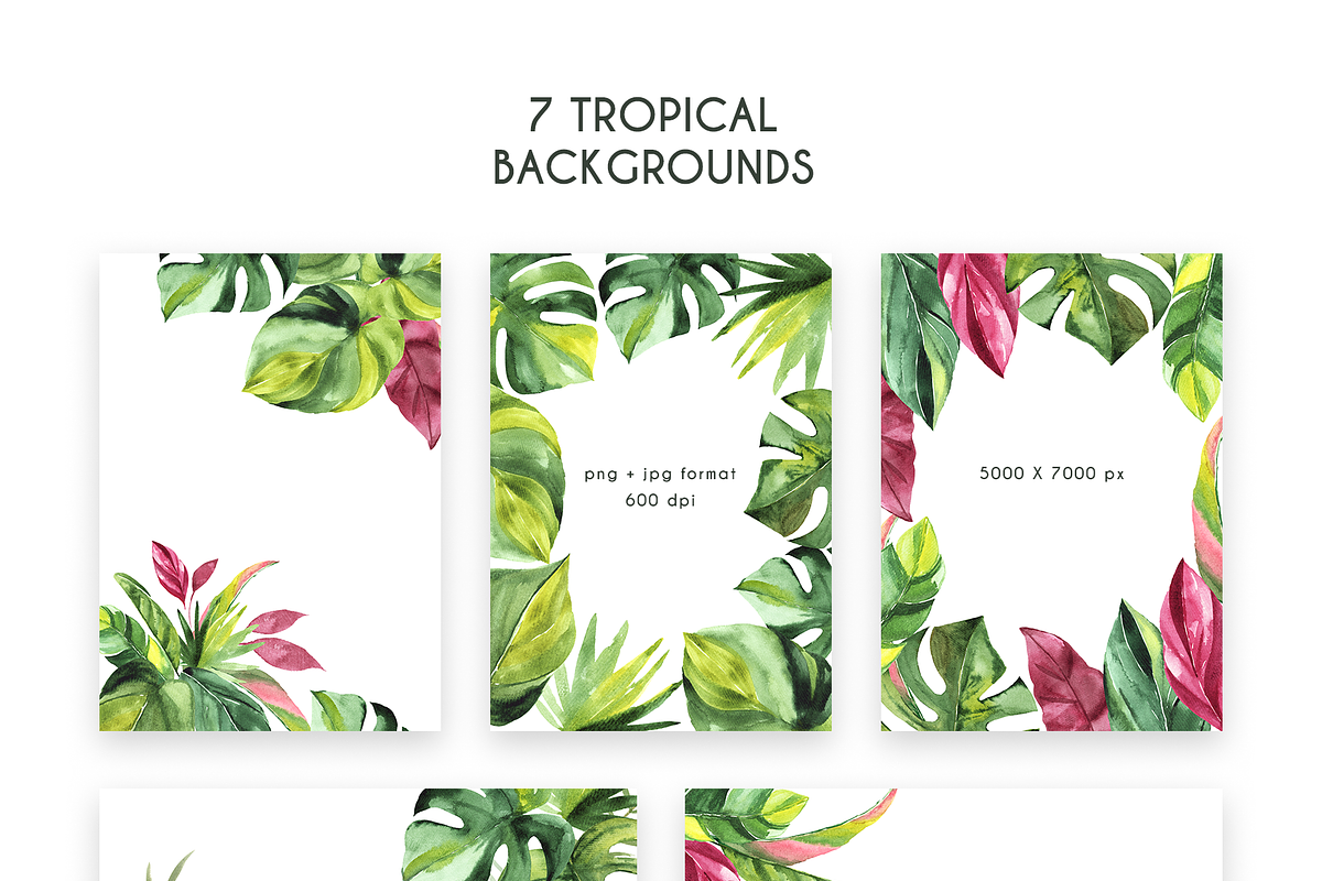 Tropical Foliage Watercolor set, a Decorative Illustration by Liliia Polos Illustration (Photo 10 of 14)