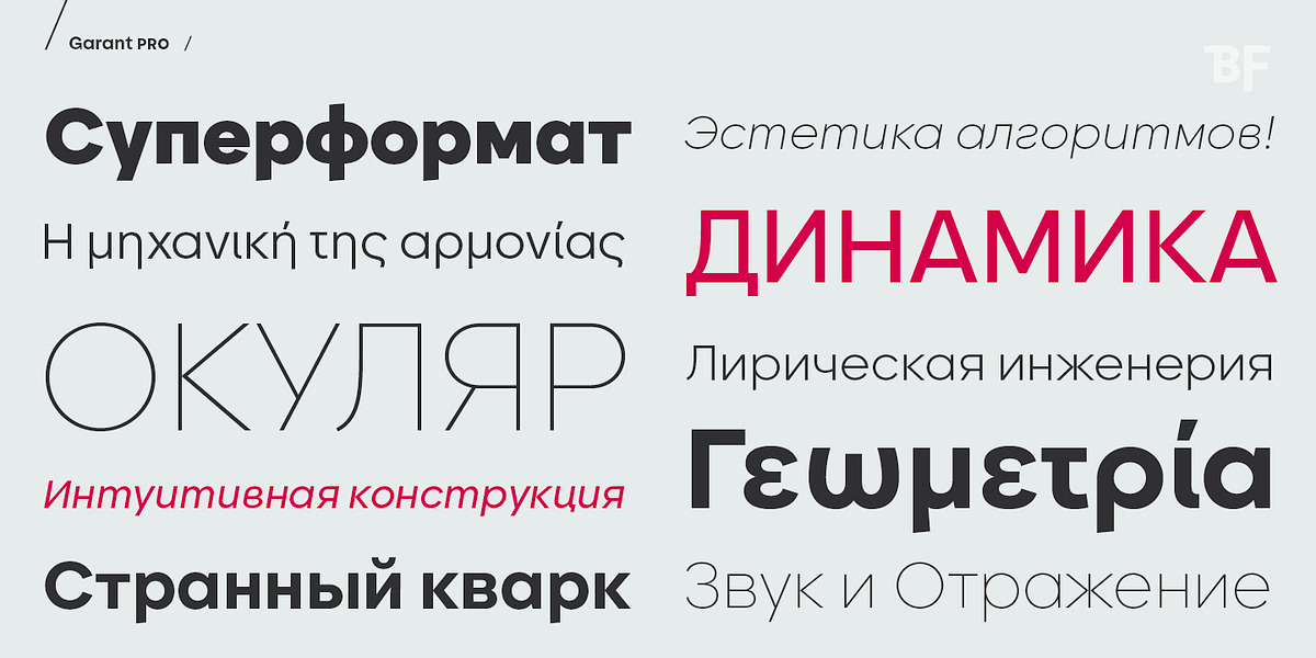 BF Garant Pro, a Sans Serif Font by BrassFonts (Photo 12 of 12)