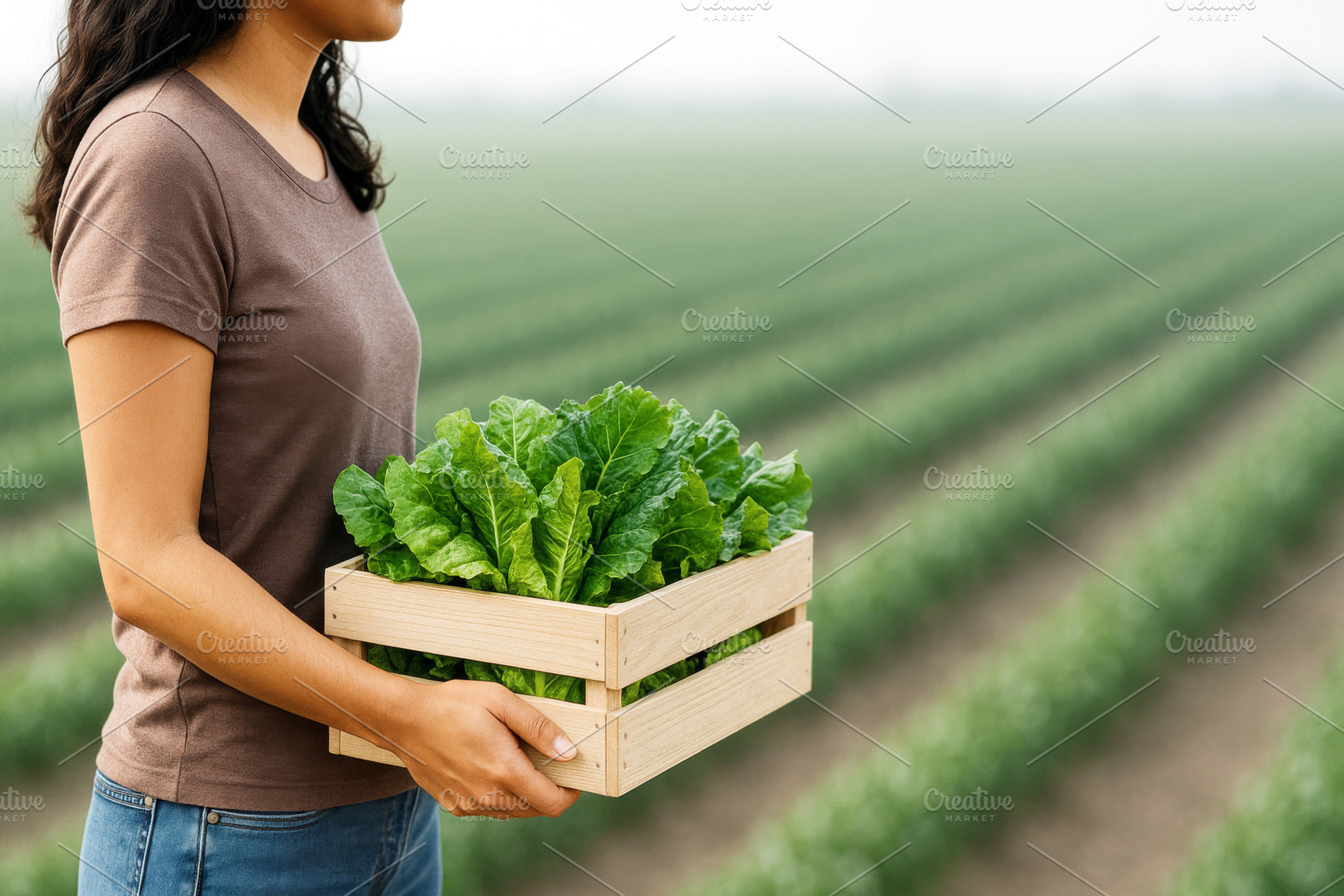 Woman farmer holding crate of fresh lettuce in field, internatio, a Photo by Dvoevnore photos