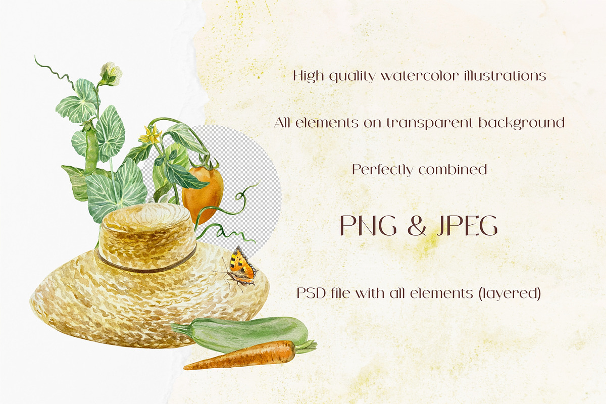 Vegetables Watercolor clip art, a Food Illustration by Farida Bik (Photo 11 of 12)